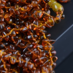 Chips cognac amber necklaces